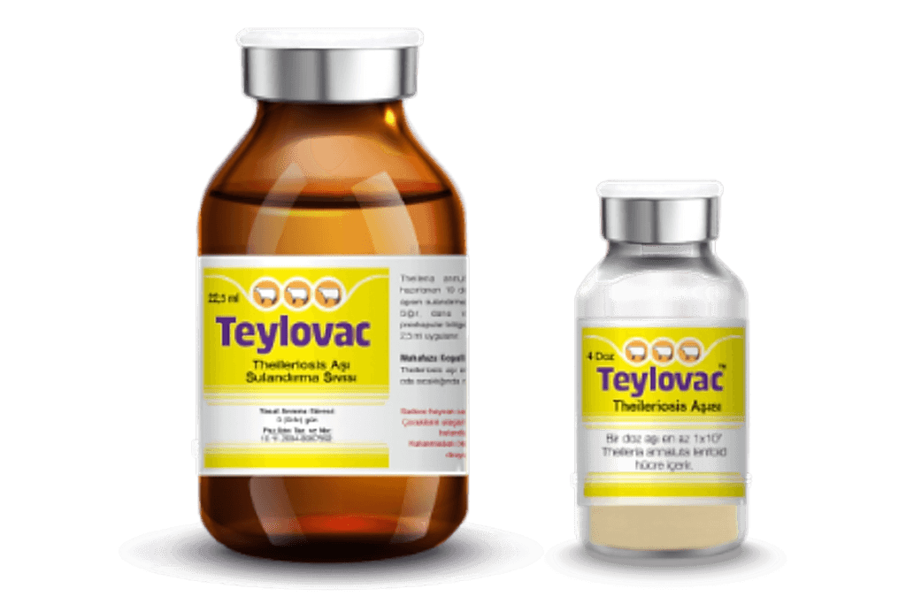 Teylovac