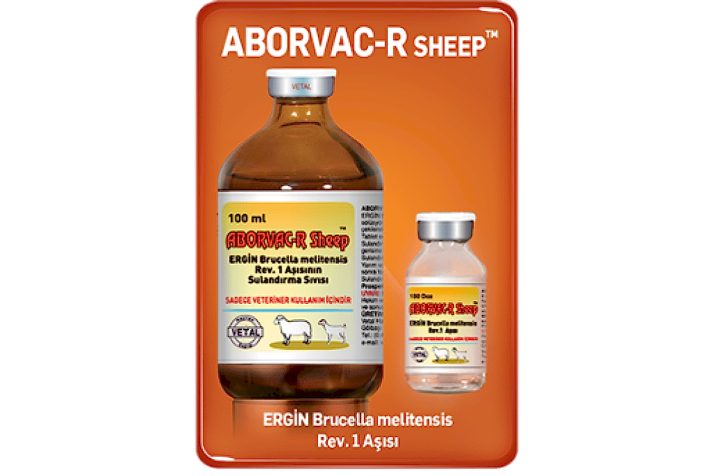 Aborvac R Sheep