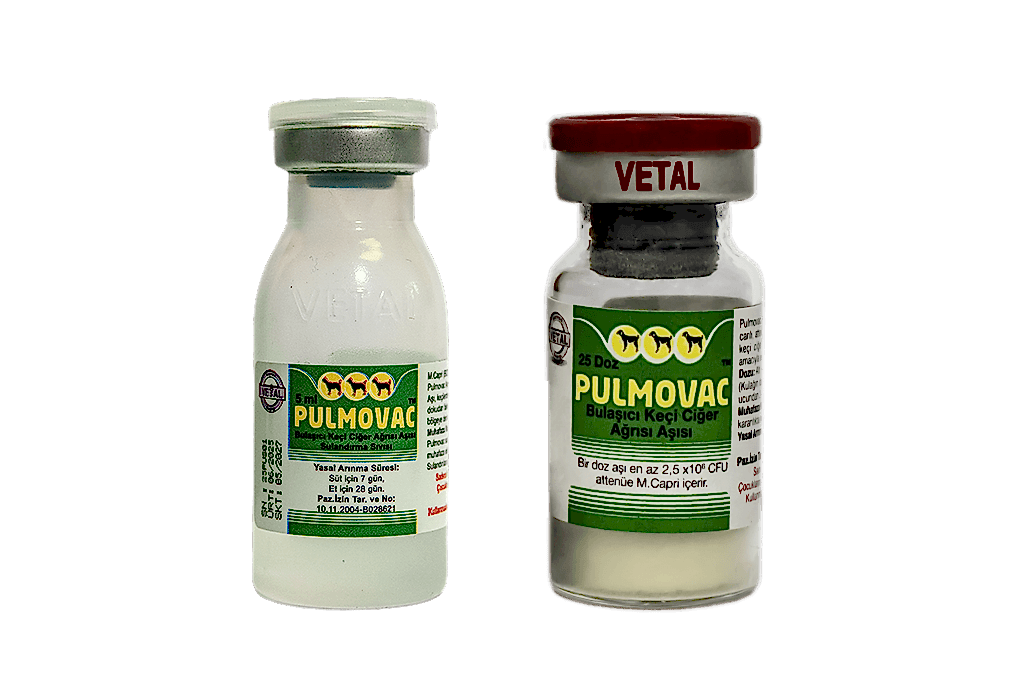 Pulmovac