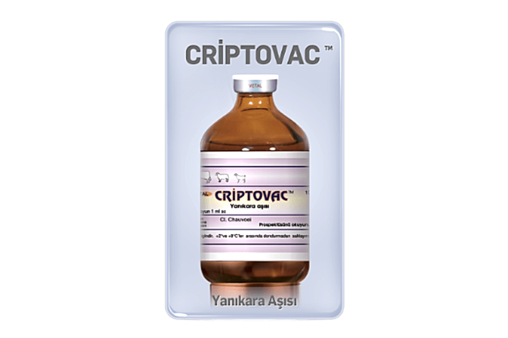 Criptovac