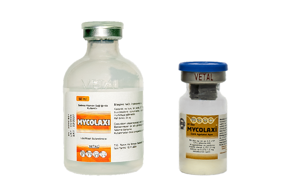 Mycolaxi