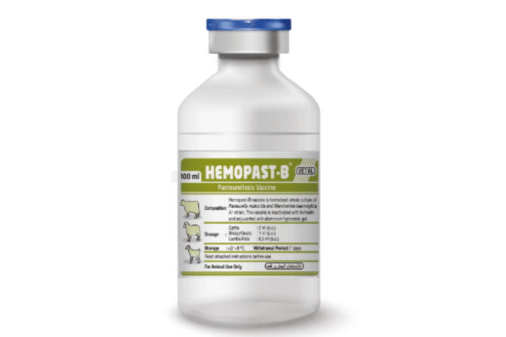 Hemopast-B (Bivalan Pasteurella Vaccine)