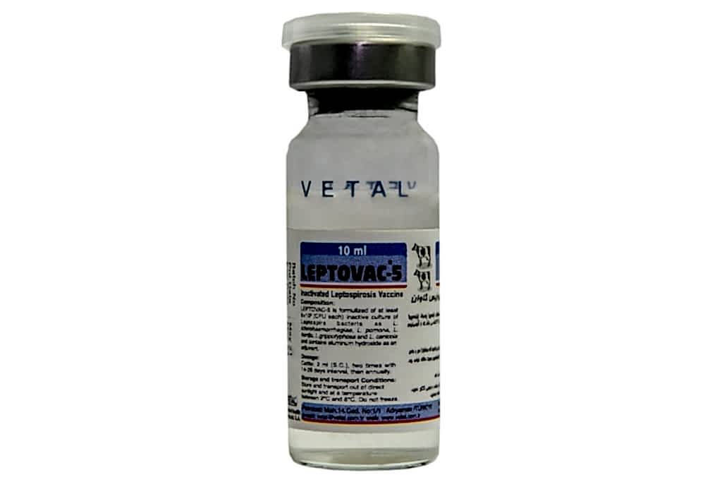 LEPTOVAC-5