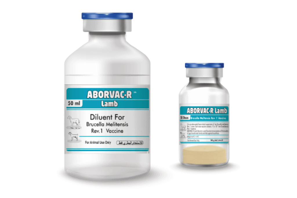 Aborvac R Lamb (Brucella melitensis Rev1 injection Vaccine)