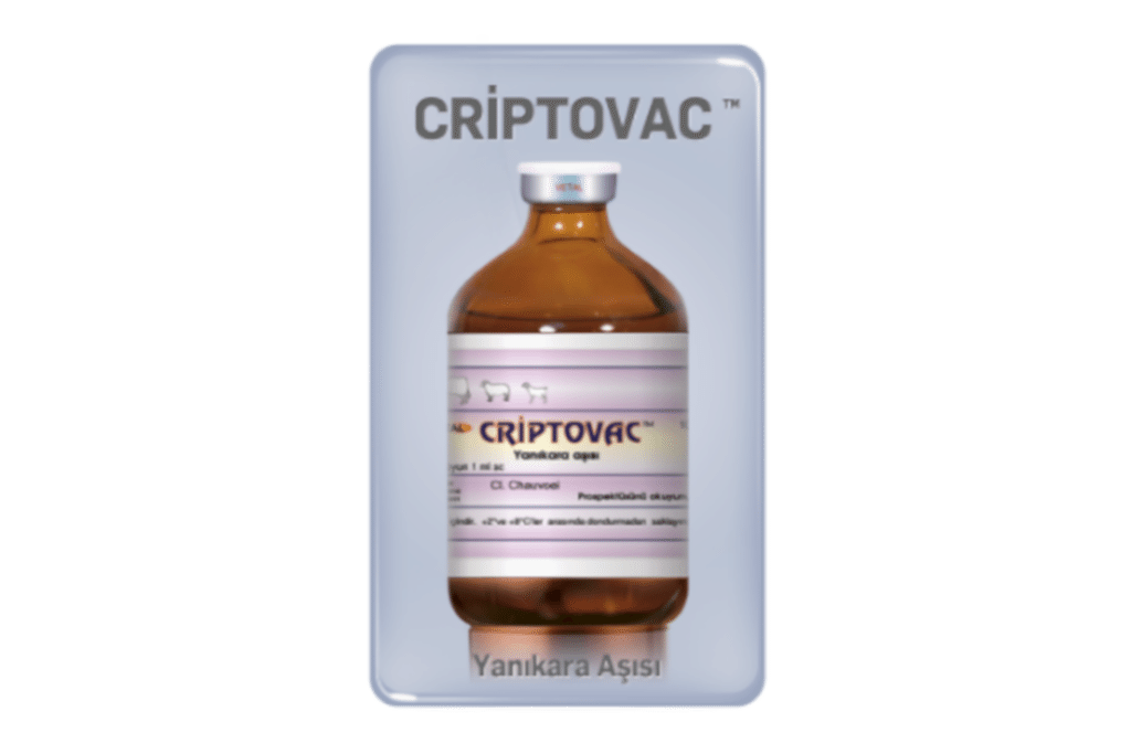 Criptovac