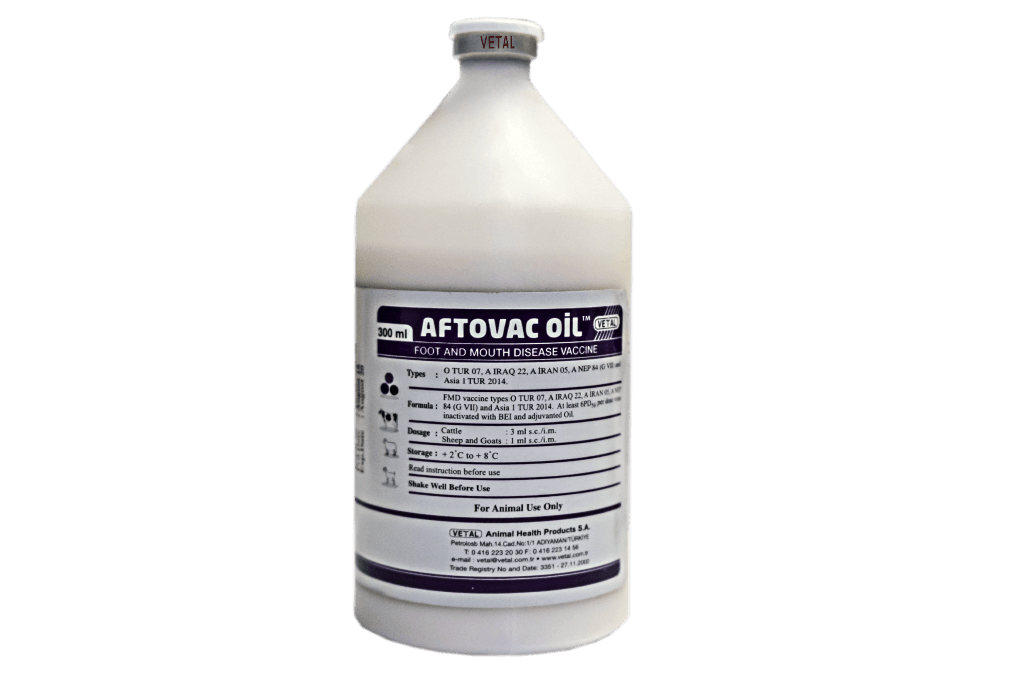 Agalaksivac-Oil (Contagious Mycoplazma Syndrome Vaccine with oil adjuvant)
