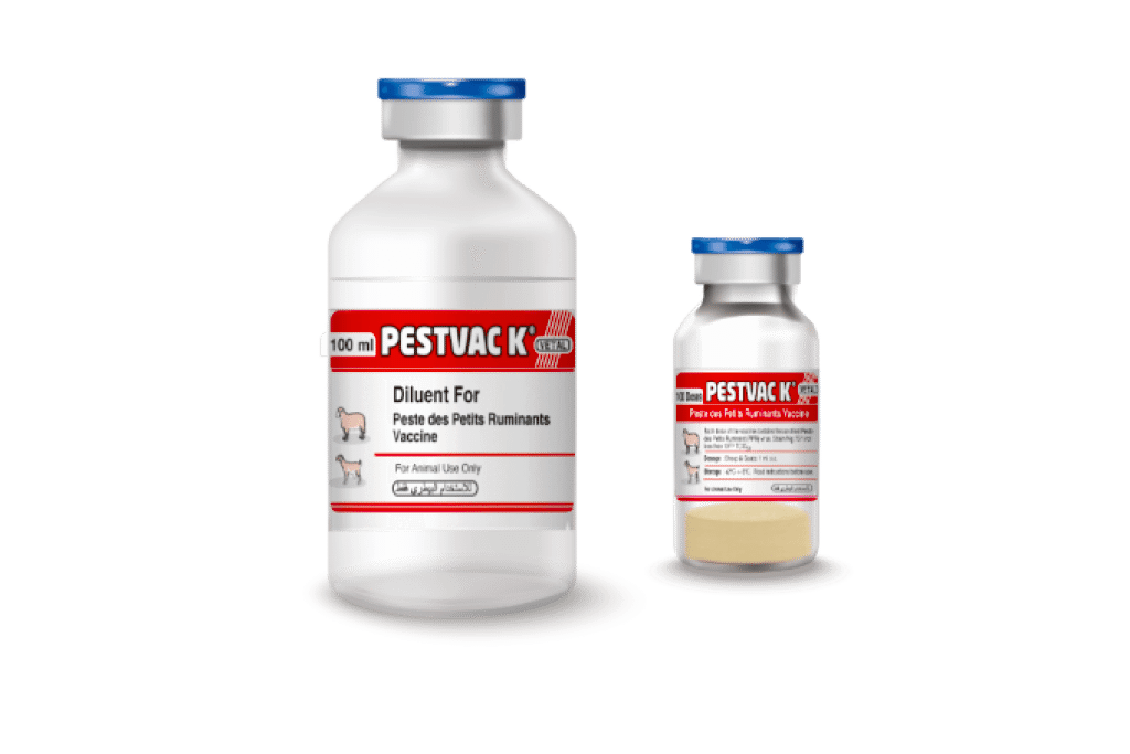 Pestvac-K (Peste de petit Ruminants Vaccine)