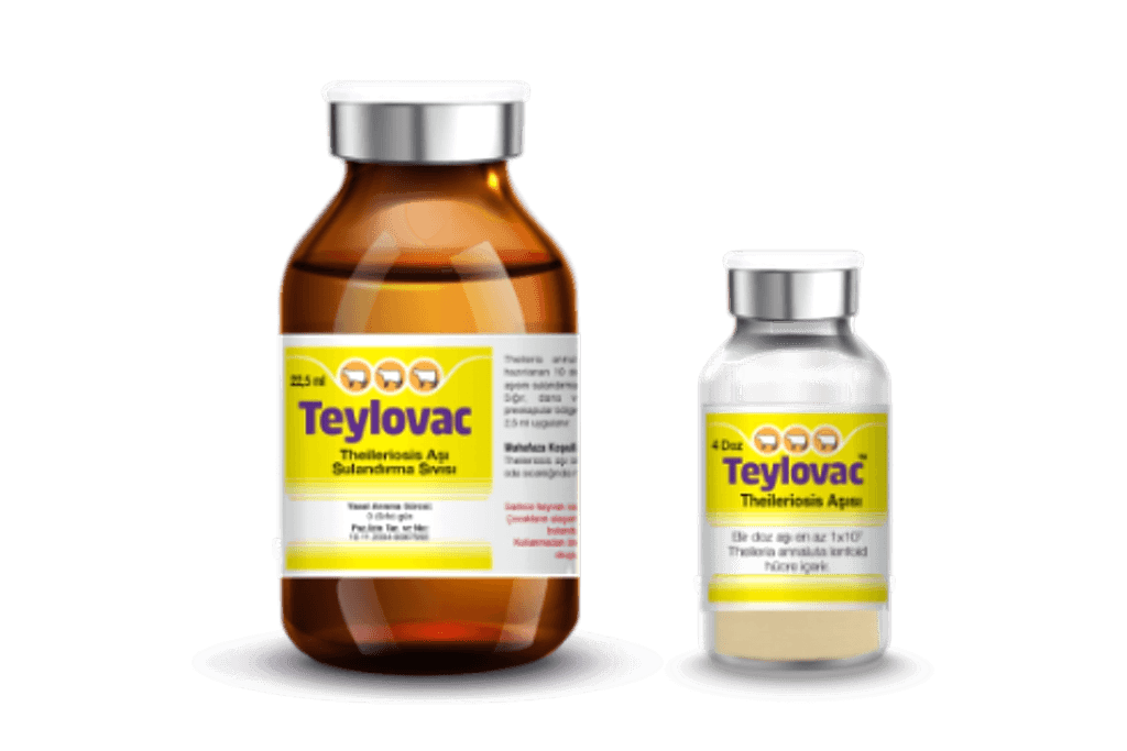 Teylovac