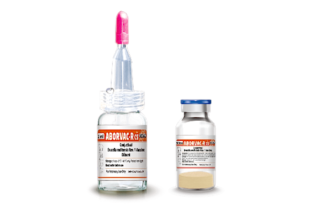 Aborvac-R CS (Brucella melitensis Rev1, Conjuctival Vaccine)